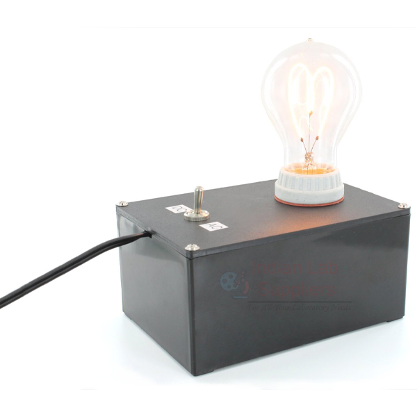Electricity and Magnetism Light Bulb Demo