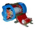 Phase Synchronous Motor Working Model